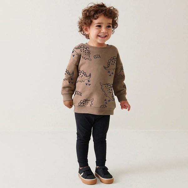 Toddler/Kid Boy Cool Dinosaur Design Sweatshirt with Pants Set